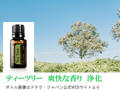 楽天市場】ドテラ アスリートキット ディープブルーラブ