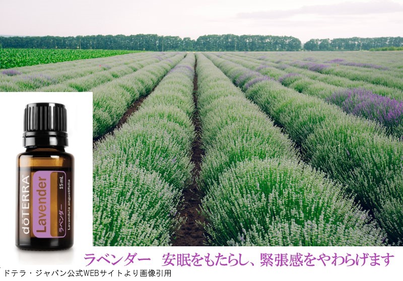 楽天市場】送料無料 ドテラ アロマオイル ラベンダー doTERRA ドテラ