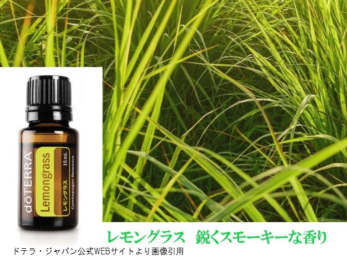 楽天市場】福袋 ドテラ アロマオイル ハッピーバッグ 《快眠 スッキリ