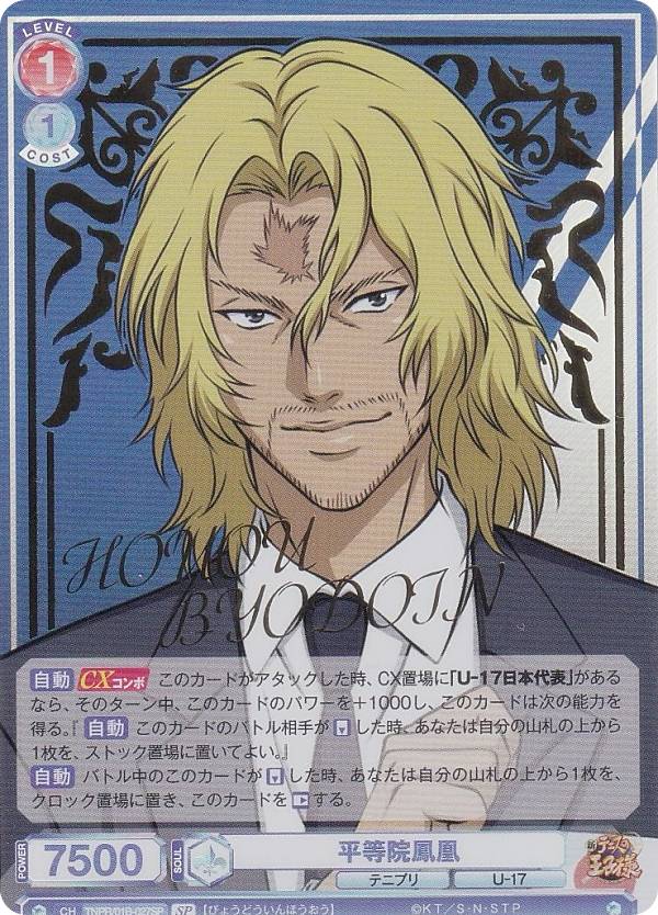 楽天市場】ヴァイスシュヴァルツブラウ TNPR/01B-027SP 平等院鳳凰 (SP