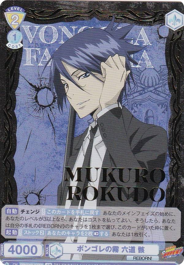 キャラクターカードゲーム 家庭教師ヒットマンREBORN ヴァイス