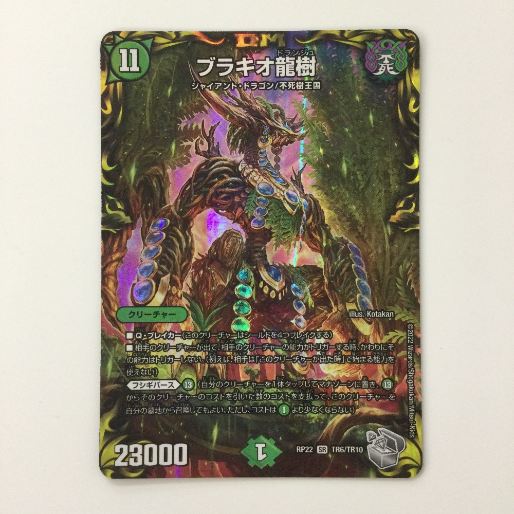 楽天市場】ブラキオ龍樹の通販