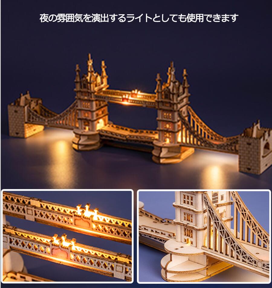 楽天市場】【510円OFF 原価2550円】立体パズル 大人 子供 タワー