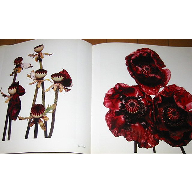 楽天市場】洋書写真集 フラワーズ/アービング・ペン/ FLOWERS/Irving