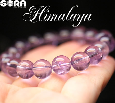 楽天市場】アイリス アメジストの通販