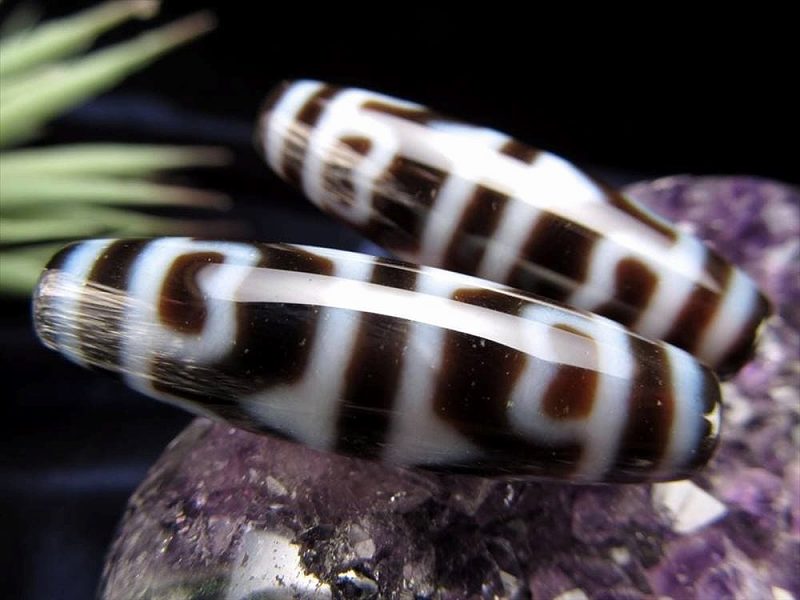 楽天市場】○A至純天珠 虎牙蓮花天珠(こがれんかてんじゅ) サイズ：約