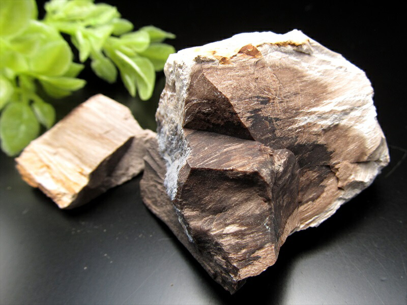 楽天市場】【全品P2倍】リアル木の化石!【珪化木 原石】重さ30g-40g