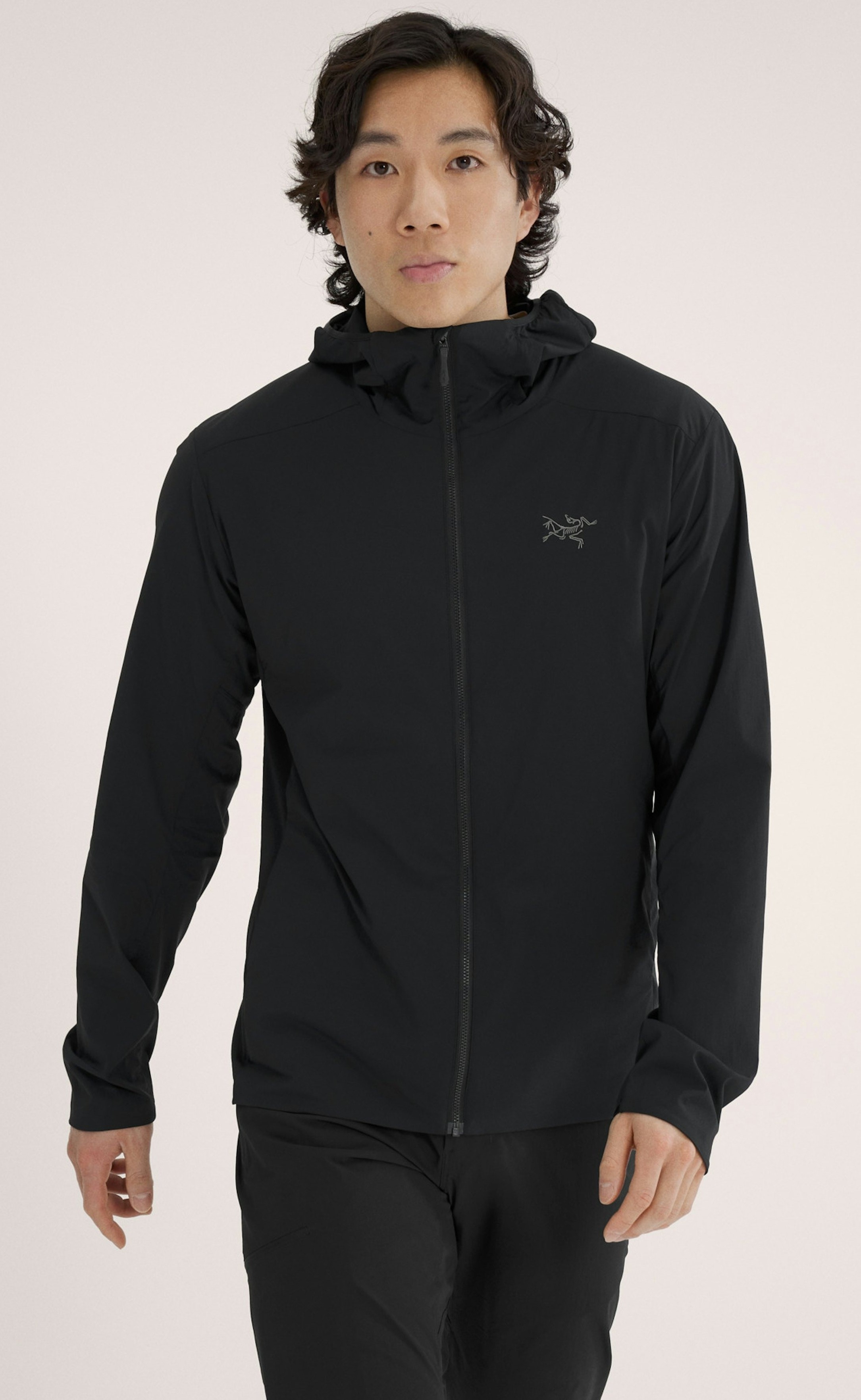 楽天市場】最新 アークテリクス アトム SL フーディ ATOM SL HOODY ARC