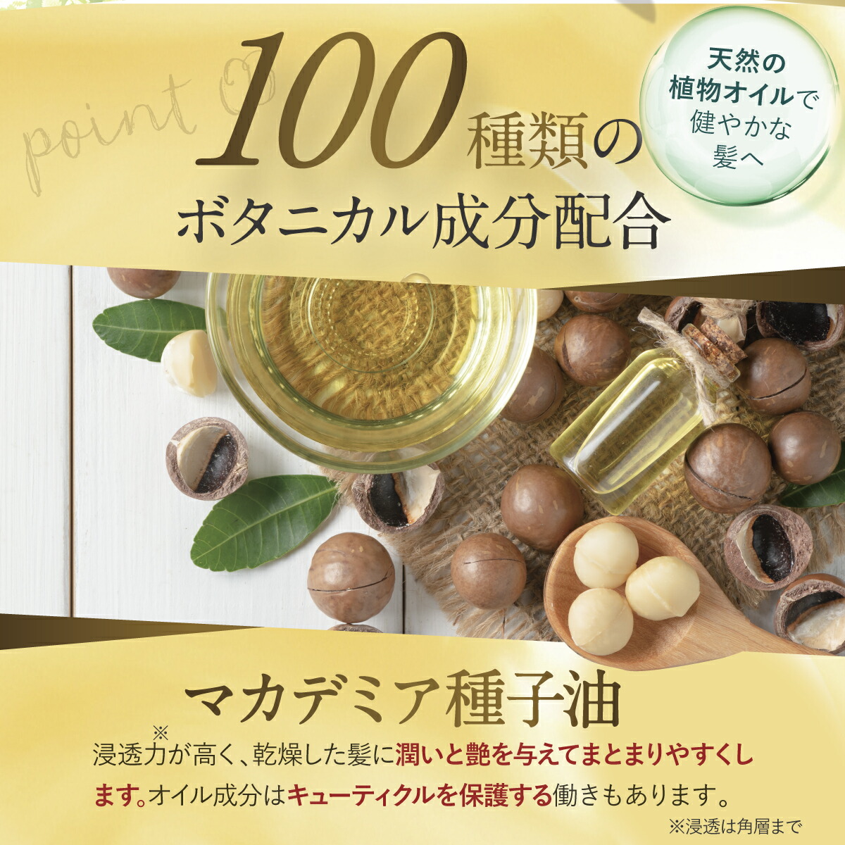 楽天市場】【グレースシードステラ スパークリングシャンプー 200ml