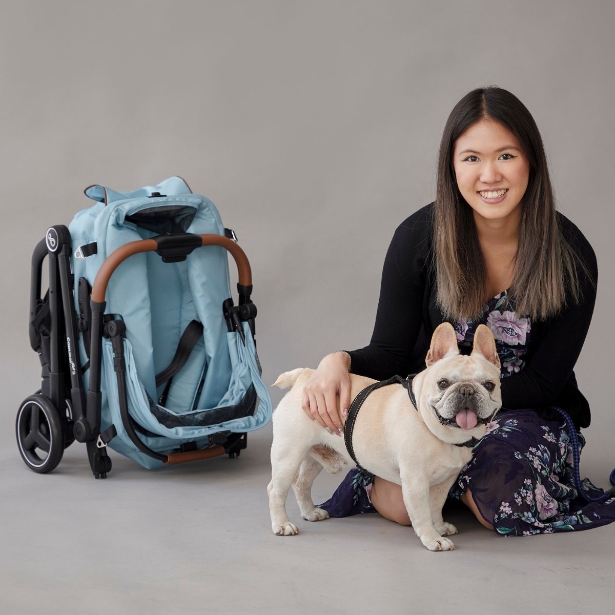 楽天市場】ペットカート 多頭 小型犬 中型犬 超軽量 ワンタッチ ワン