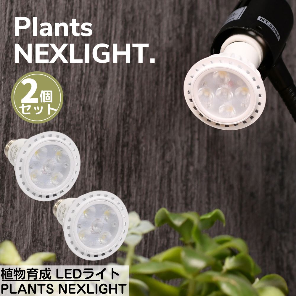 楽天市場】【植物の事だけを考えた】 植物専用 LEDライト PLANTS
