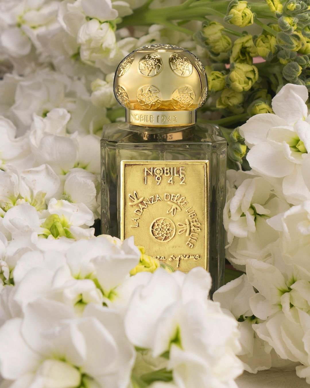 Forte｜ダンザ・リベリュール フラグランツァスプレマ | Rakuten