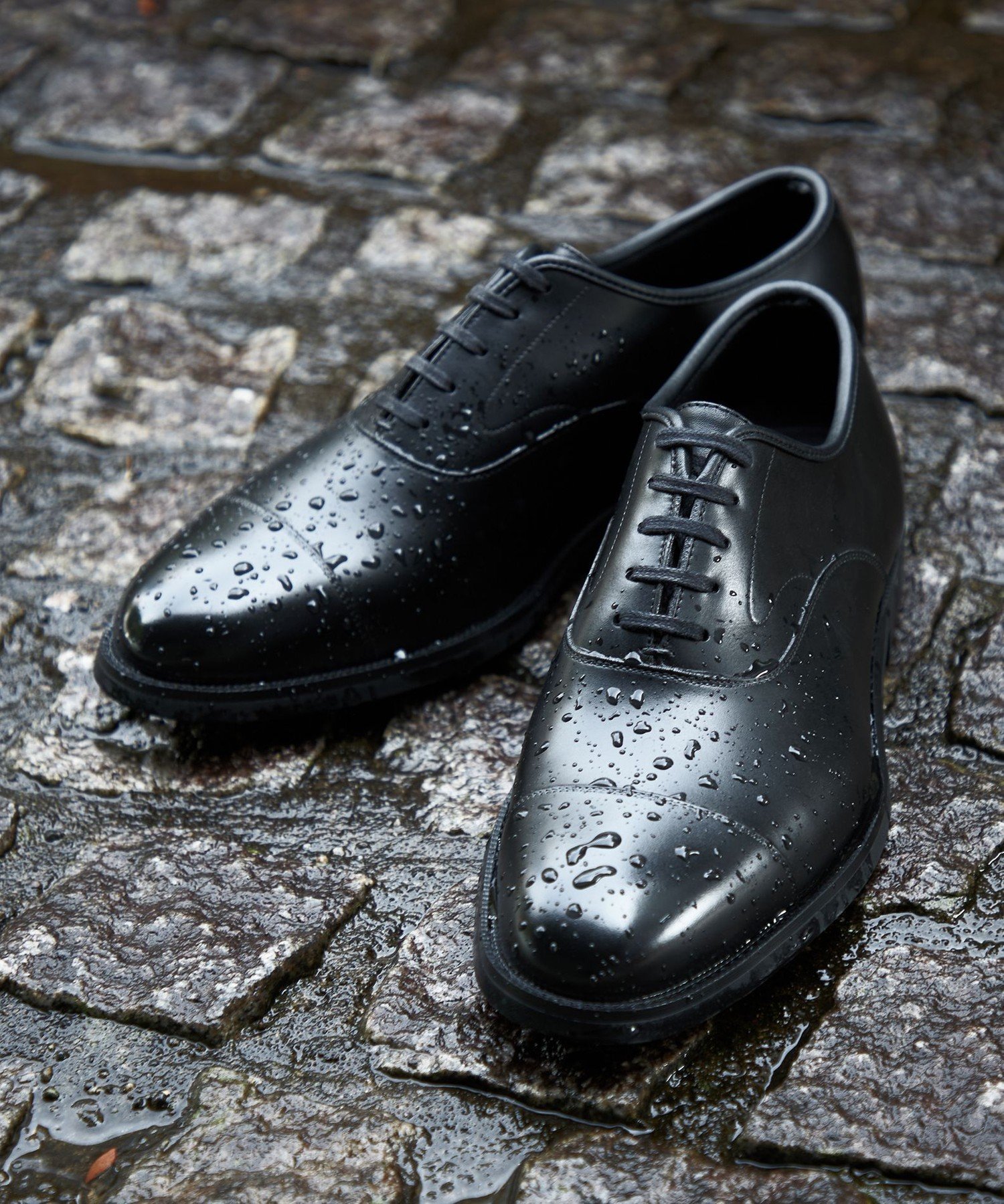 三陽山長 友二郎」の人気商品一覧 | 安い商品を通販サイトから探す