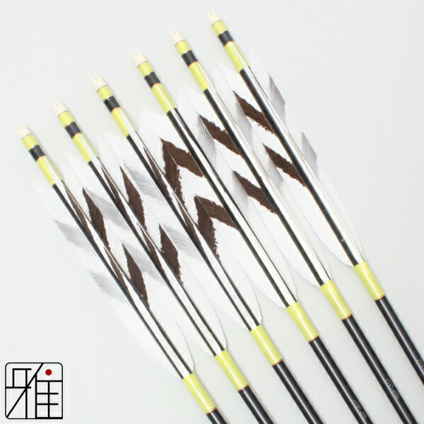 楽天市場】弓道 矢 ジュラルミン矢 6本組ターキー手描染羽 1913