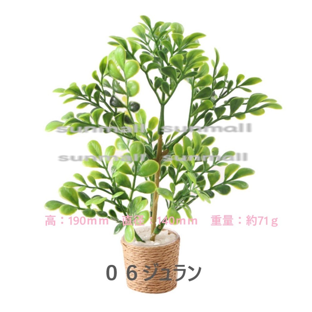 楽天市場】90000011【1点販売】【11種類を選べる】ミニチュア観葉植物