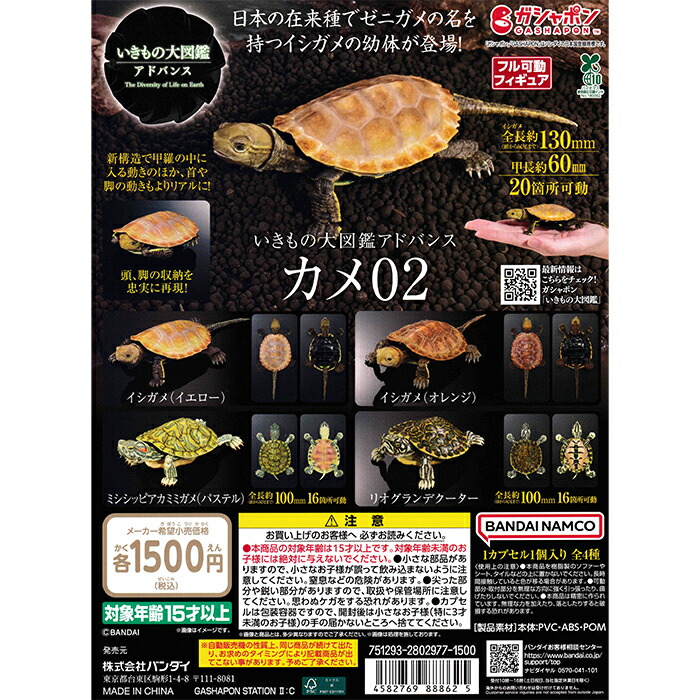 楽天市場】いきもの大図鑑アドバンス カメ02 【全4種 コンプリート
