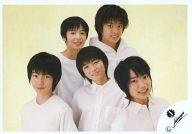 楽天市場】Ya－Ya－yah（コレクション｜ホビー）の通販