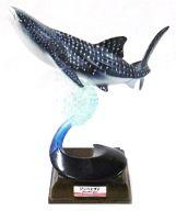 楽天市場】海遊館 ジンベイザメの通販