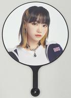 楽天市場】チェウォンうちわの通販