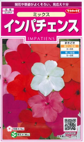 専用 紀元前 古代 インカ花入 高さ約18.2㎝ タサオ 東さ8-0107☆2F