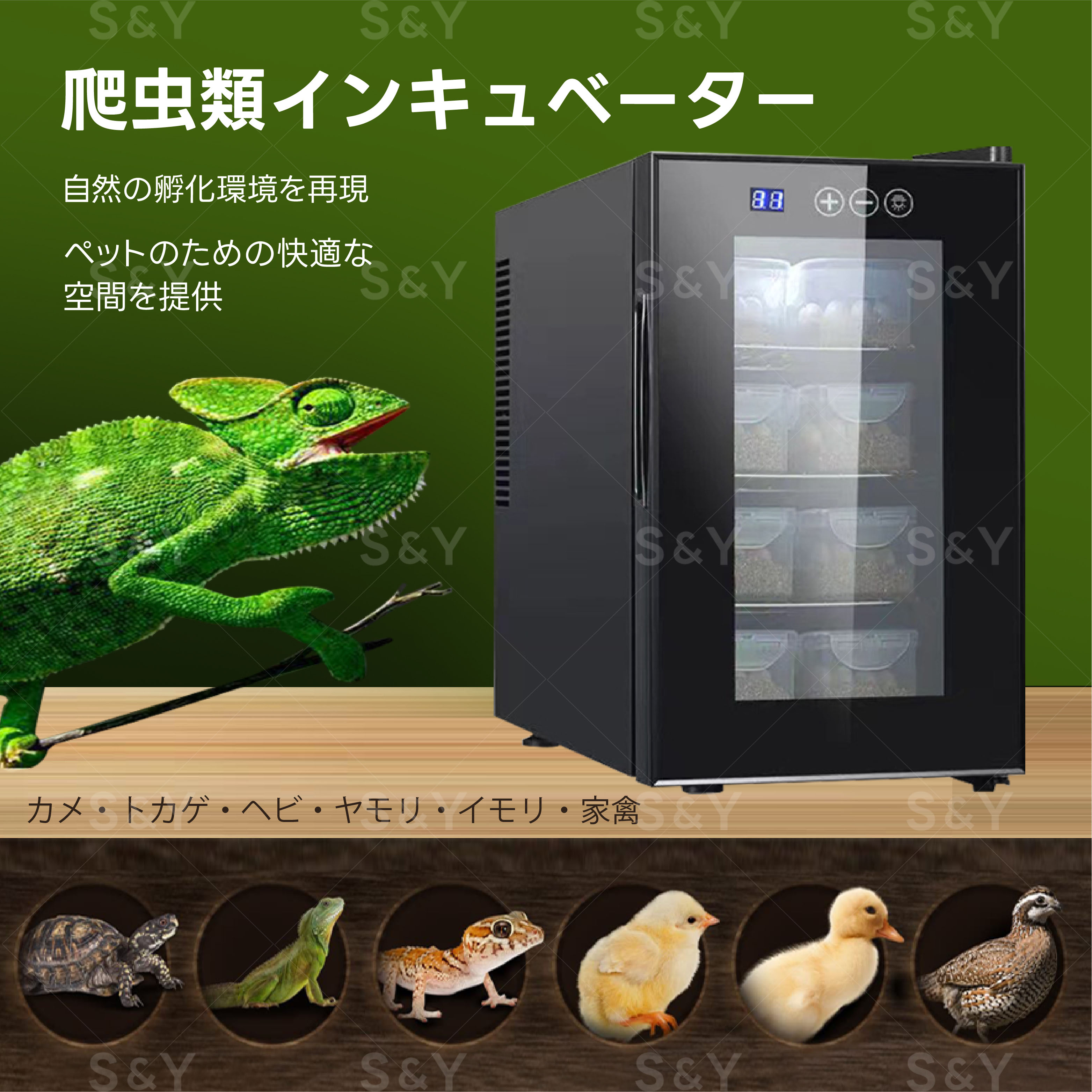 楽天市場】Kurflo 爬虫類用 孵卵器 爬虫類インキュベーター 自動孵卵器