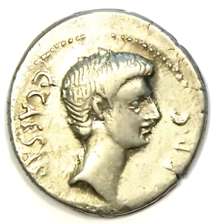 楽天市場】オクタヴィアヌスの通販