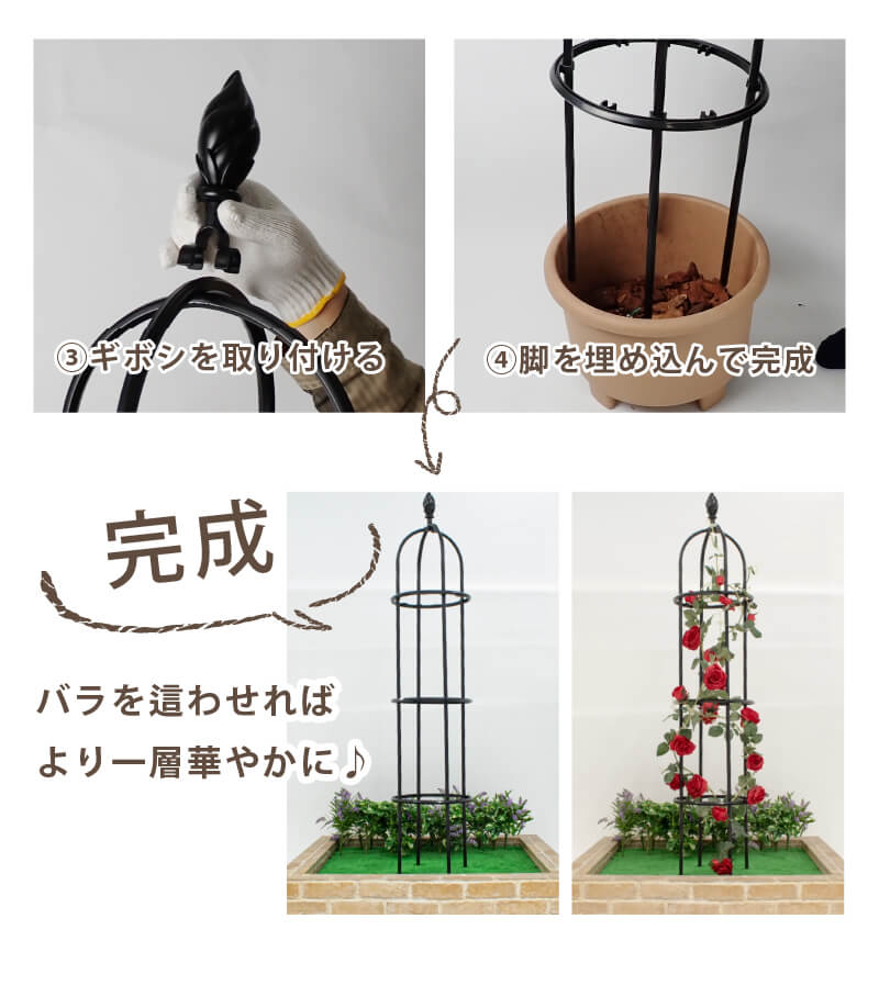 楽天市場】daim バラ用フック 薔薇 トレリス バラ ばら 誘引 フェンス