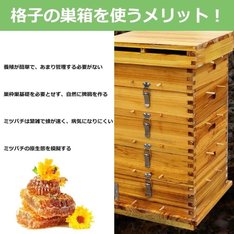 楽天市場】3/5階 蜜蜂巣箱 ミツバチ 巣箱 重箱式 養蜂箱 養蜂用具 杉材