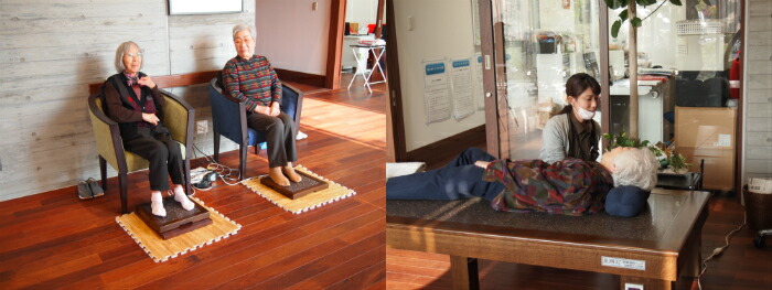 楽天市場】円岩盤石開発センター 皇輝石岩盤浴足温器 1台 : 産経ネット