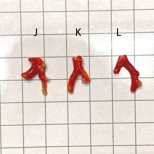 楽天市場】血赤珊瑚 土佐沖 枝 パーツ ルース 赤 素材 手作り