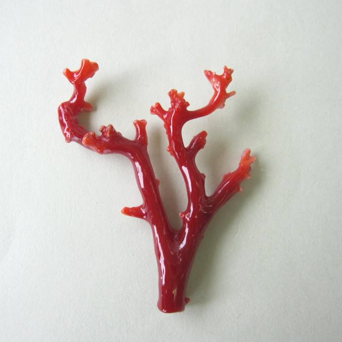 楽天市場】日本 高知沖産血赤珊瑚 拝見 置き物 原木 置物 飾り台付