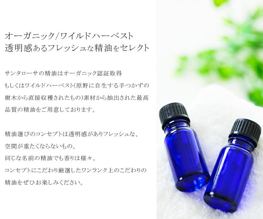楽天市場】精油 エッセンシャルオイル レモンマートル 5~10ml アロマ