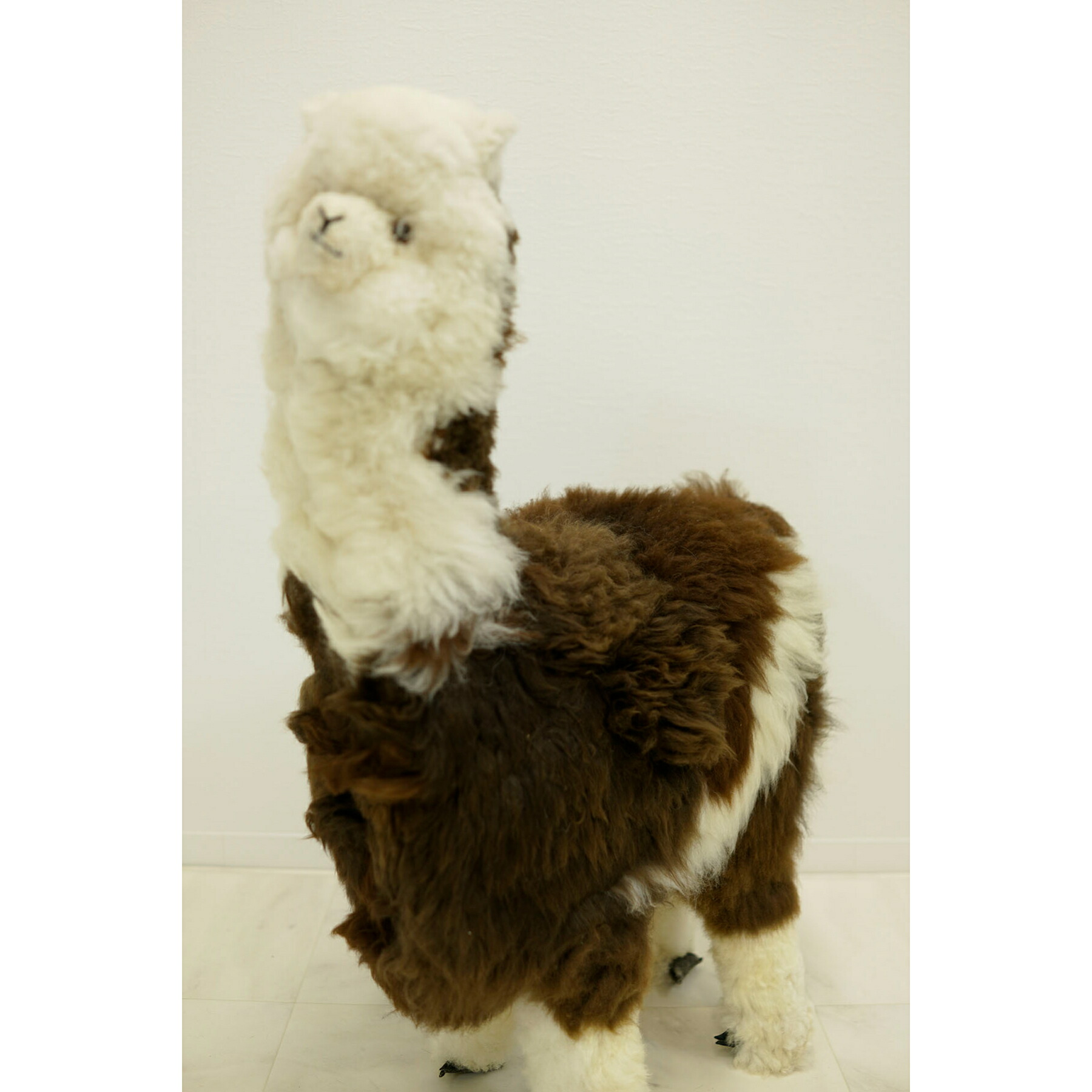 楽天市場】アルパカ ぬいぐるみ 特大 大サイズ Lサイズ人形 置物