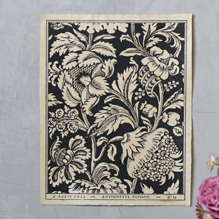 楽天市場】ドミノペーパー 59C Antoinette Poisson // アントワネット