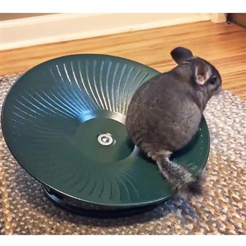 楽天市場】『 トレッドミルホイール 大 14インチ(約35.56cm