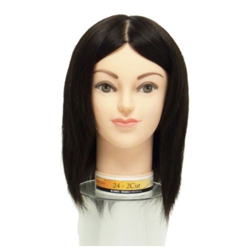 楽天市場】国家試験 カットウィッグ ユーカリの通販