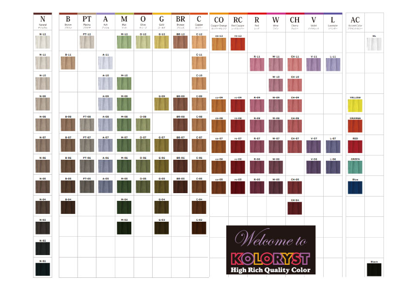 楽天市場】KOLORYST AC ブラック 100g【倉庫S】 : シェーンコスメ