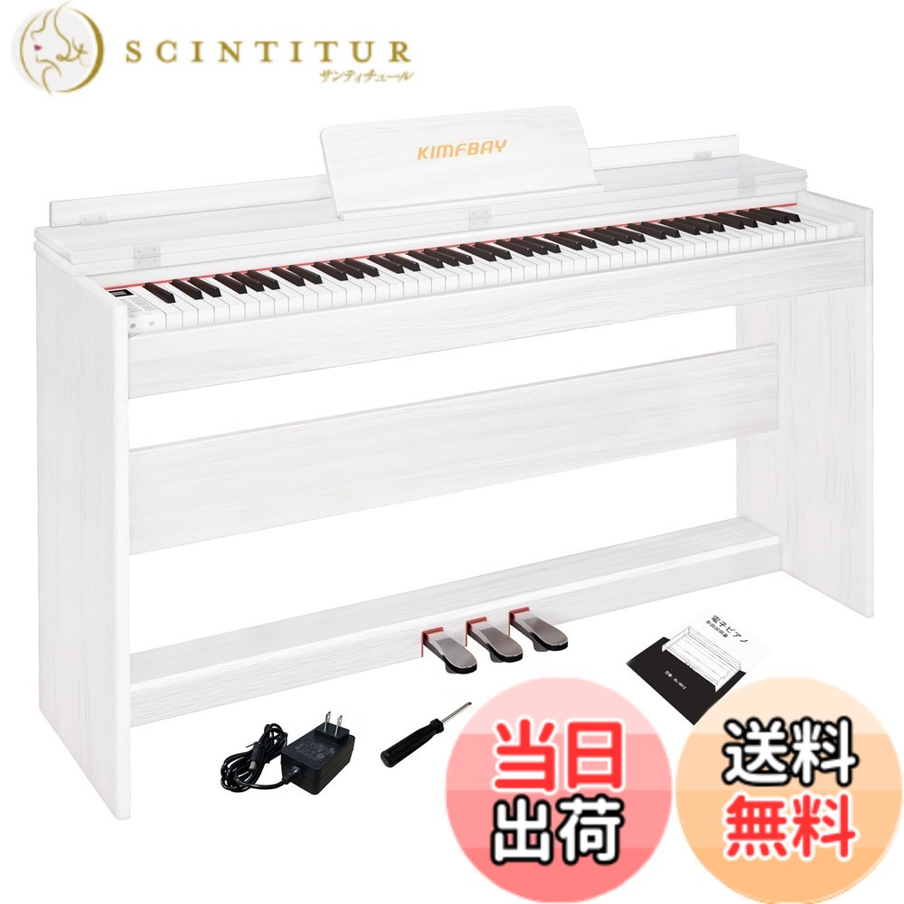 kimfbay」の人気商品一覧 | 安い商品を通販サイトから探す - 価格.com