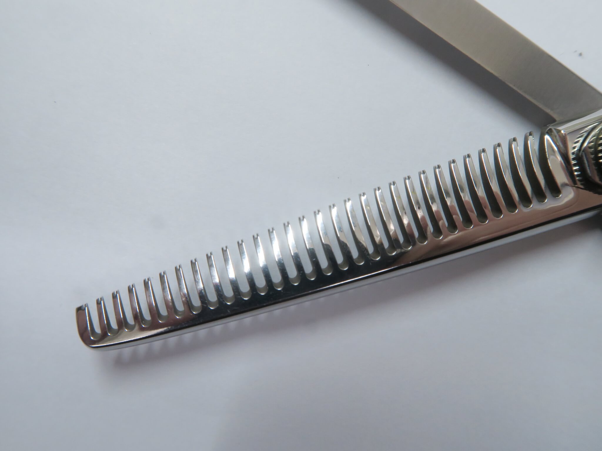 楽天市場】Bランク【タマコーシザース】 スーパーおそらく SUPER