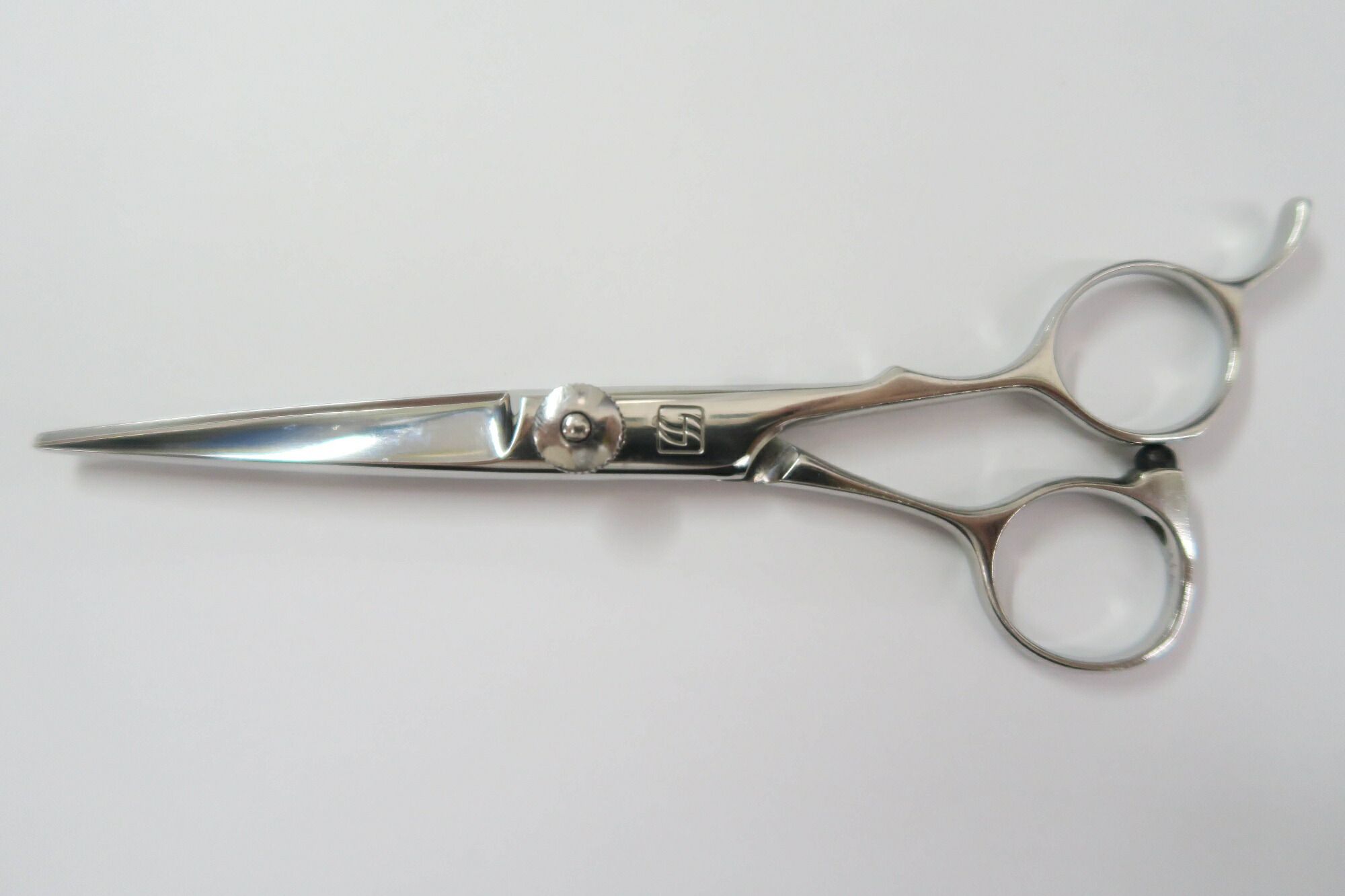 楽天市場】Bランク【SUCCEED サクシード】 CAMEL 5.5 キャメル シザー