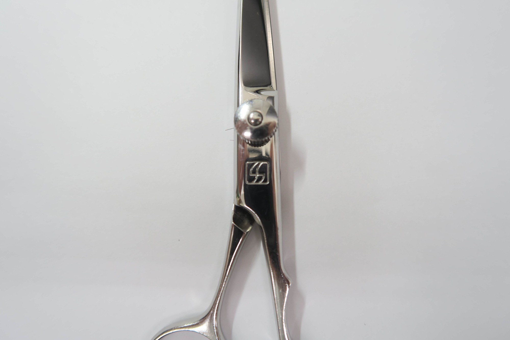 楽天市場】Bランク【SUCCEED サクシード】 CAMEL 5.5 キャメル シザー