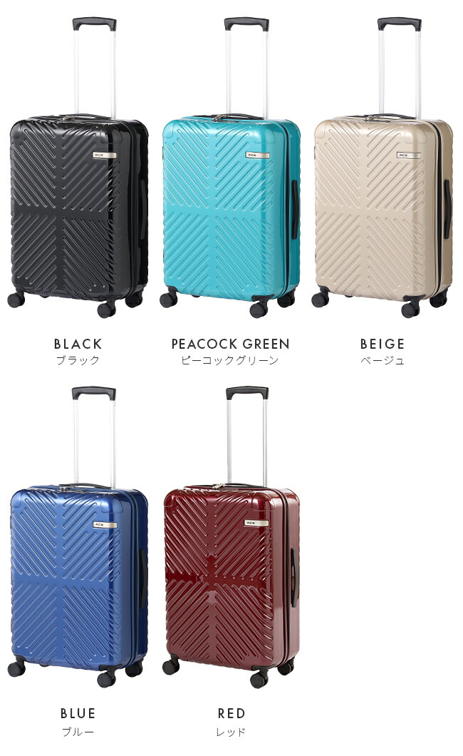 楽天市場】【最大39倍 3/1限定】特典付き エース ラディアル スーツ