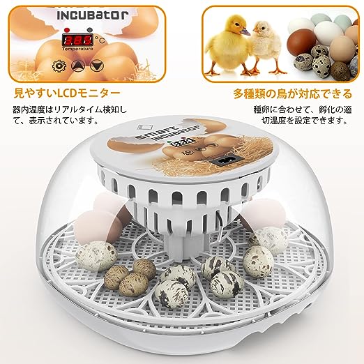 楽天市場】自動孵卵器 インキュベーター 鳥類専用孵卵器 自動転卵式