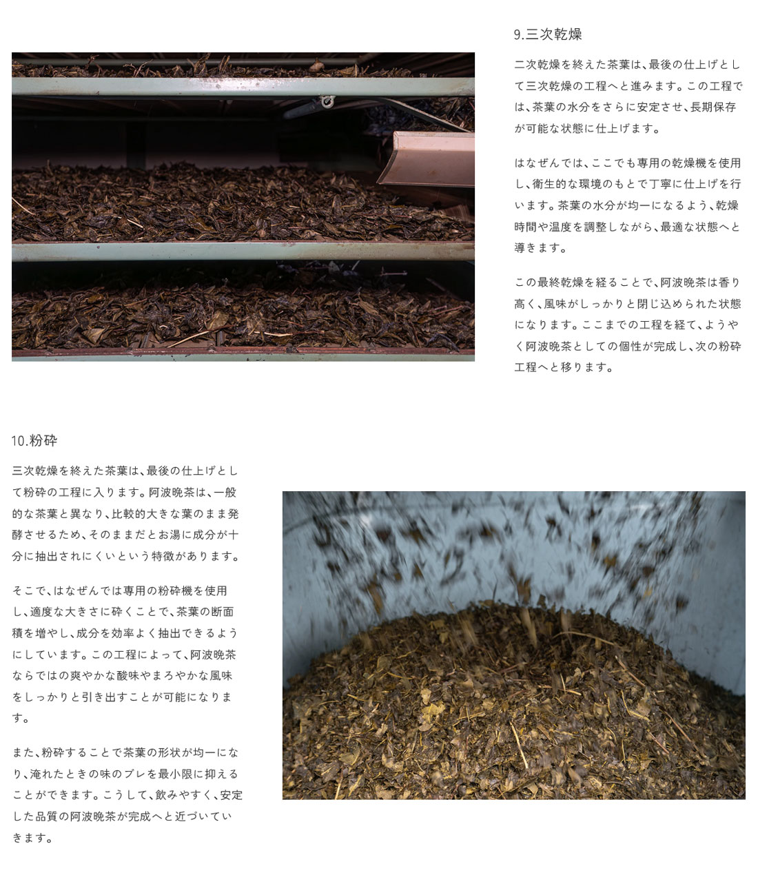 楽天市場】阿波晩茶 ティーパック 4袋セット 伝統樽漬 発酵茶 100