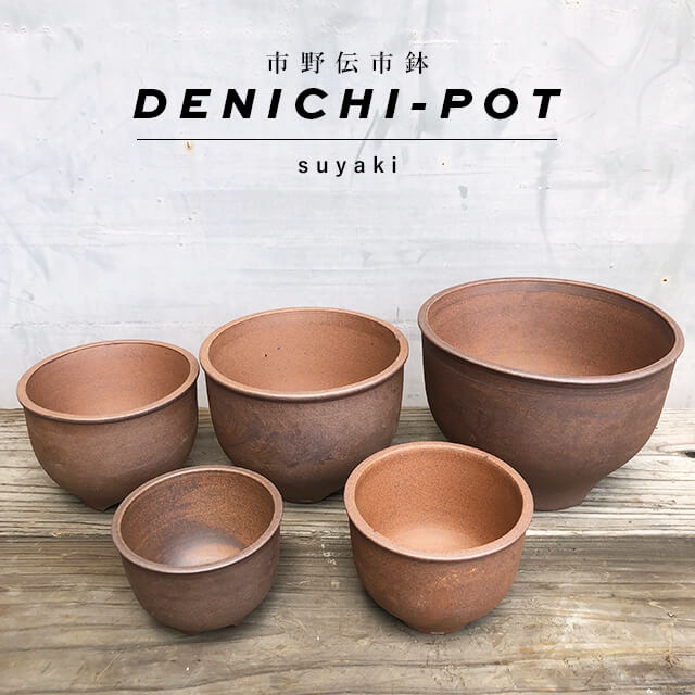 楽天市場】伝市鉢 コウロ型【素焼き】3.5号 φ11cm×H8cm 植木鉢 陶器