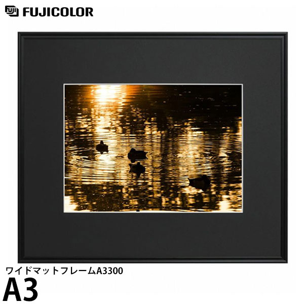 楽天市場】フジカラーa300 全紙の通販