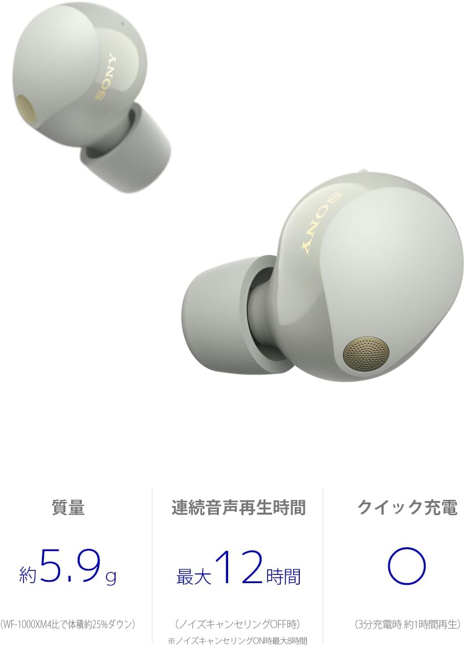 楽天市場】WF-1000XM5 (S) [プラチナシルバー] : 沙羅の木楽天市場店