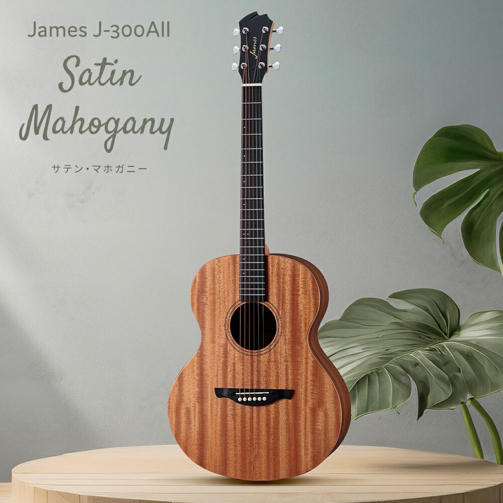 楽天市場】James J-300AII 単品・初心者12点セット アコースティック