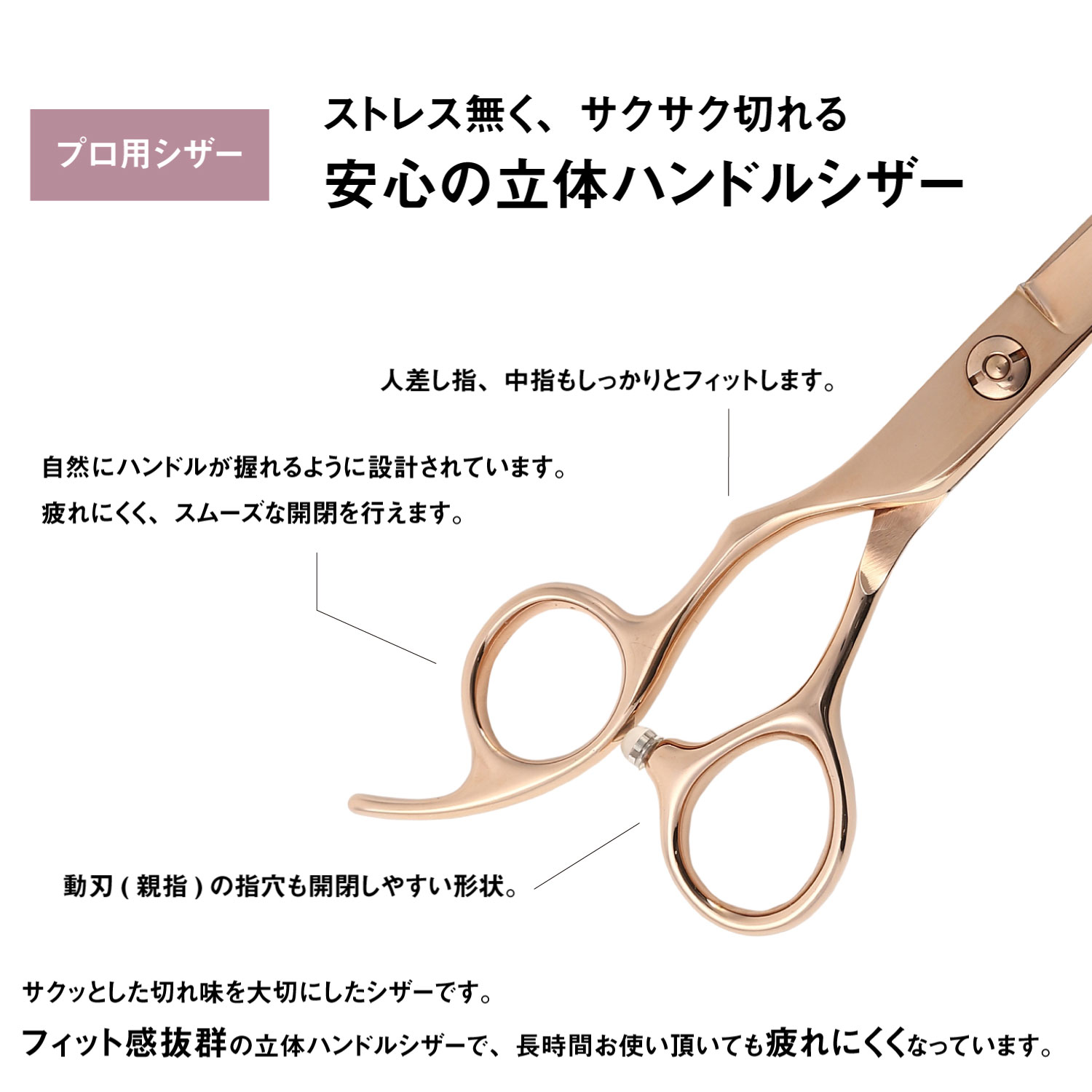 楽天市場】日本の鋏専門メーカー / 美容師専用 【PF】DEEDS GTZL
