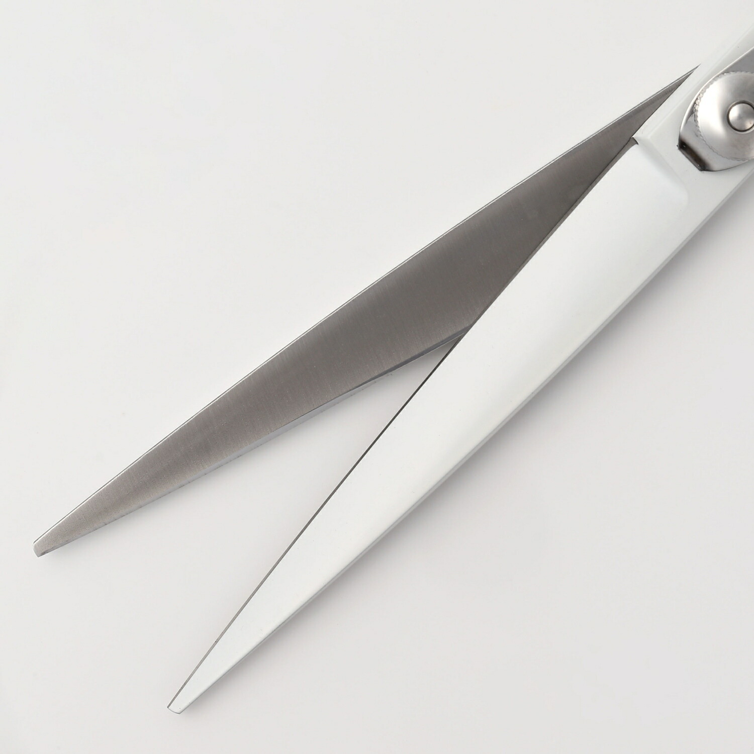 楽天市場】【送料無料】日本の鋏専門メーカー トリマー用 / /毎日のお